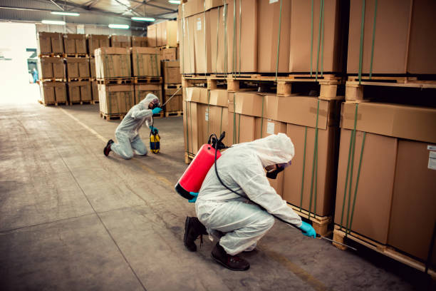 Best Wildlife Control Services  in Coral Terrace, FL