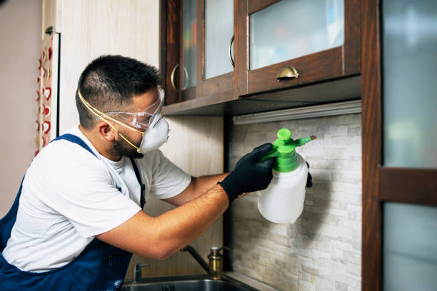 Best Pest Inspection Near Me  in Coral Terrace, FL