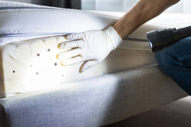 Pest Control Cost in Coral Terrace, FL