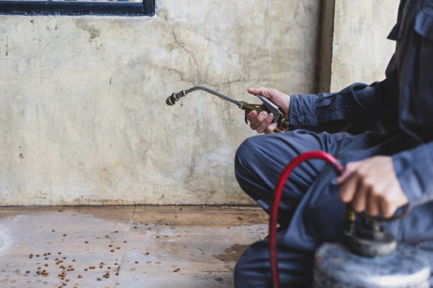 Best Affordable Pest Control Services  in Coral Terrace, FL